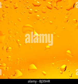 Frische Farbe gold Bier. Schuss im studio Stockfoto