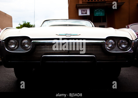 Thunderbird Stockfoto