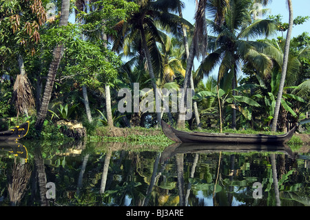 Boote in den Backwaters von Kerala in der Nähe von Alappuzha, Indien. Stockfoto