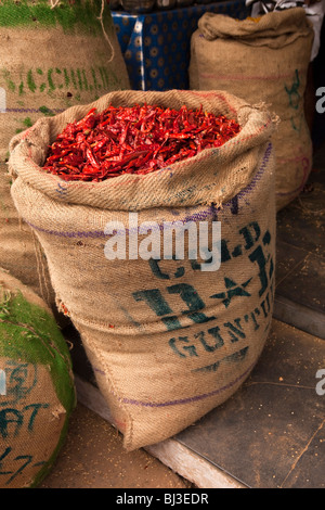 Indien, Kerala, Calicut, Kozhikode, Halwa Basar, entlassen von getrockneten roten Chilischoten auf dem Display im Großhandel shop Stockfoto