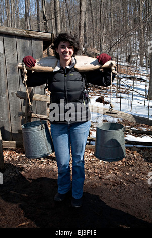 Wald-Lebensmittelproduktion und Ahornsirup oder Ahornsirup Ernte in Nordontario; Kanada; Nord-Amerika Stockfoto