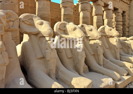 Ägypten Karnak Avenue von Sphingen Stockfoto