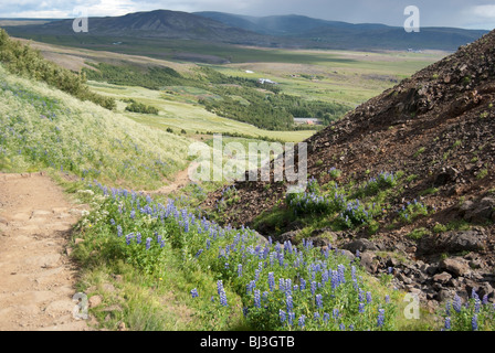 Mt. Esja, Süd-West Island Stockfoto