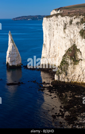 Kreide Stacks in Richtung Peveril Point. Studland. Dorset. Stockfoto