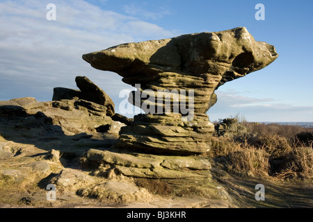 Die Elemente haben seltsame Formationen in der Mühlstein Körnung bei Brimham Rocks in Nidderdale, North Yorkshire geschnitzt. Stockfoto