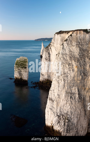 Kreide Stacks in Richtung Peveril Point. Studland. Dorset. Stockfoto