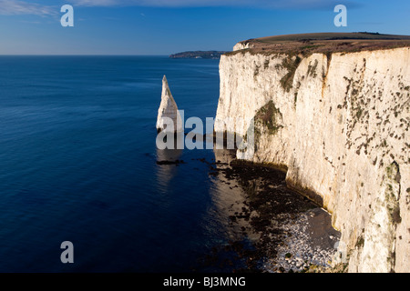 Kreide Stacks in Richtung Peveril Point. Studland. Dorset. Stockfoto