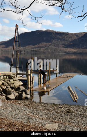 Keswick Launch Unternehmen Arbeitnehmer, installieren Sie eine neue Holzsteg auf der Westseite des Derwent Water an der Victoria Bay. Stockfoto