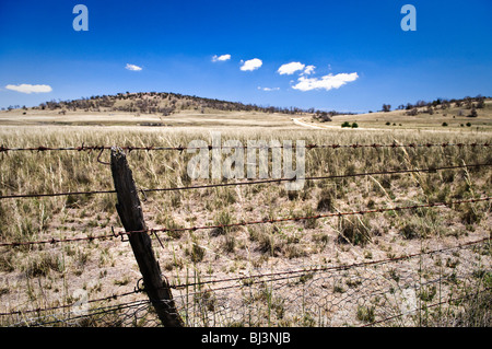 MONARO, Australien – die weitläufige ländliche Landschaft der Region Monaro entfaltet sich entlang des Monaro Highway. Sanfte Hügel, die mit goldenem Gras bedeckt sind, erstrecken sich bis zum Horizont, gespickt mit verstreuten Gummibäumen, die die strenge Schönheit des Hochlandes von New South Wales veranschaulichen. Stockfoto