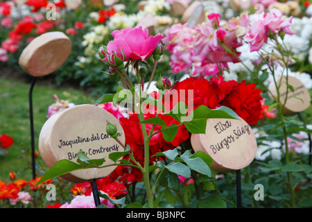 Blumen mit Memorial Plaques, Villa Grimaldi, Folter zu zentrieren, Santiago de Chile, Chile, Südamerika Stockfoto