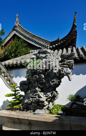 Bonsai-Sammlung, chinesischer Garten, Jardin Botanique de Montréal, Botanischer Garten von Montreal, Quebec, Kanada, Nordamerika Stockfoto