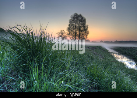 Morgen-Stimmung bei Hohenzieritz, Mecklenburg-Western Pomerania, Deutschland, Europa Stockfoto