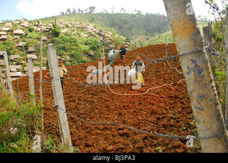 Kinder spielen auf der Wiese, Umpium-Flüchtlingslager (thai-burmesischen Grenze), südlich von Mae Sot, Provinz Tak, Nord-thailand Stockfoto