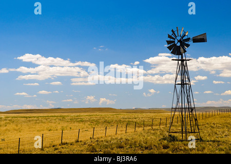 LÄNDLICHE NEUSTADT-SÜDWALES, Australien – Eine einsame Windmühle erhebt sich vor der weiten, offenen Landschaft einer Farm im ländlichen Neuen Südwales. Die berühmte Struktur, die sich am Himmel befindet, dient als wichtige Wasserquelle in dieser weitläufigen landwirtschaftlichen Umgebung. Stockfoto