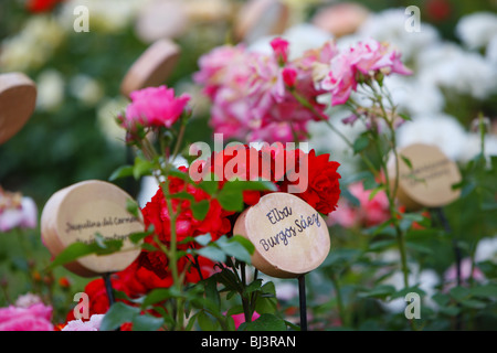 Blumen mit Memorial Plaques, Villa Grimaldi, Folter zu zentrieren, Santiago de Chile, Chile, Südamerika Stockfoto