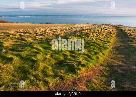 Weg von Ballard Punkt zum Handfast Punkt. Studland. Dorset. Stockfoto