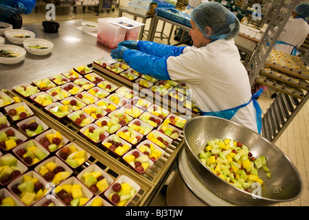 Lady Mitarbeiter des weltweit größten unabhängigen Anbieter von Airline catering und Bereitstellung von Dienstleistungen, Gate Gourmet. Stockfoto