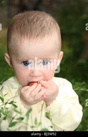 kleines Baby Apfel Grün Gras beißen Stockfoto