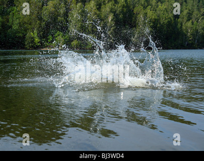 großes Wasser planschen im See nach dem Tauchen Stockfoto