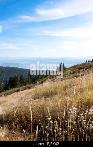 Hang im Sommer mit schönen blauen Himmel auf Grouse Mountain mit Blick nach Osten in Richtung Stadt Vancouver, Britisch-Kolumbien Stockfoto