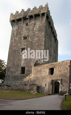 Blarney Castle County Cork Irland Stockfoto