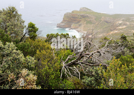 Diaz, Kap der guten Hoffnung, Strandblick vom Cape Point, Kapprovinz, Südafrika, Afrika Stockfoto