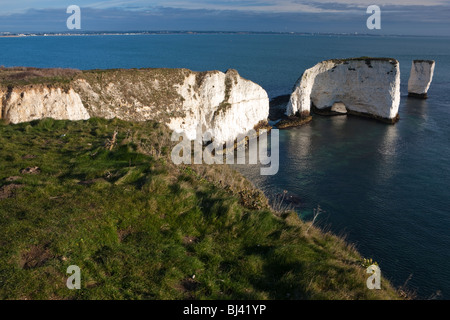 Old Harry Rocks. Studland. Dorset. Stockfoto