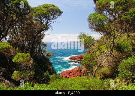 EDEN, Australien – die Two ofold Bay in New South Wales bietet einen atemberaubenden Blick auf die Küste und eine reiche maritime Geschichte. Diese malerische Bucht, Teil der berühmten Sapphire Coast, ist bekannt für ihre tiefen Gewässer, was sie zu einem wichtigen Drehkreuz für kommerzielle und Freizeitaktivitäten macht, einschließlich Angeln und Walbeobachtung. Die natürliche Schönheit und historische Bedeutung der Two ofold Bay machen sie zu einem beliebten Reiseziel für Besucher der Südküste von New South Wales. Stockfoto