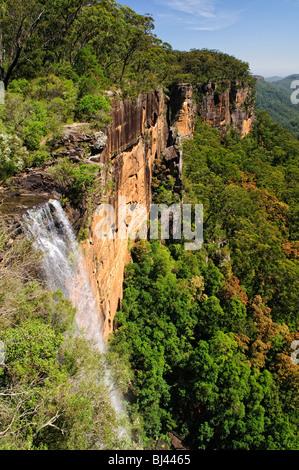 KANGAROO VALLEY, Australien – die Fitzroy Falls stürzt dramatisch über eine steile Klippe im Morton National Park. Der mächtige Wasserfall taucht in eine üppige, bewaldete Schlucht ein und zeigt die natürliche Schönheit der südlichen Highlands. Stockfoto