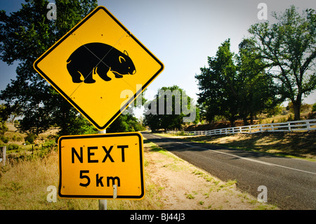 EAGAN PEAKS NATIONAL PARK, Australien – Ein gelbes, rautenförmiges Straßenschild mit der Silhouette eines Wombats steht an einer Landstraße. Das Warnschild warnt die Fahrer auf das Vorhandensein von Wombats in diesem geschützten Gebiet des einheimischen australischen Buschland. Stockfoto