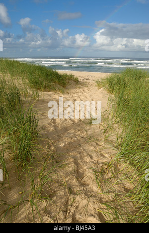 Weg am Strand führt zum Ozean, Regenbogen im bewölkten Himmel - Hermanus, South Western Cape, Südafrika Stockfoto