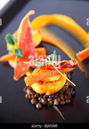 Trio von Jakobsmuscheln auf Curry Linsen, Butternut-Kürbis-Püree und knusprigem Parmaschinken Stockfoto