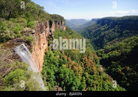 KANGAROO VALLEY, Australien – die Fitzroy Falls stürzt dramatisch über eine steile Klippe im Morton National Park. Der mächtige Wasserfall taucht in eine üppige, bewaldete Schlucht ein und zeigt die natürliche Schönheit der südlichen Highlands. Stockfoto