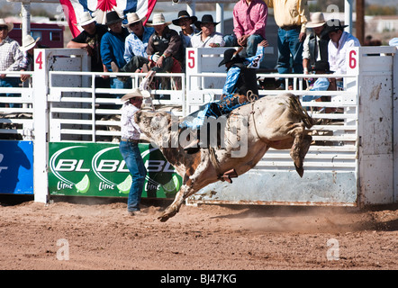 ein Cowboy konkurriert in der Bullenreiten Ereignis während der O' odham Tash All-indischen rodeo Stockfoto