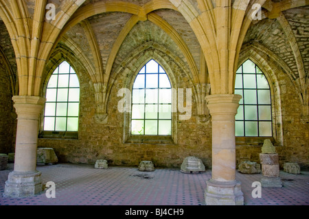 Teil des Originals ruiniert Notre-Dame der Zisterzienser-Abtei Orval, Belgien Stockfoto