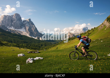 Mountainbike-Fahrer auf der Abfahrt von Forcella Ambrizzola Berg, Südtirol, Italien, Europa Stockfoto