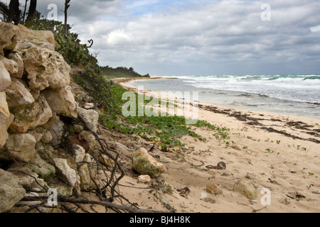 Jibacoa Strand, Kuba Stockfoto