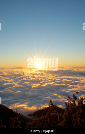 Spanien, Kanarische Inseln, Teneriffa Teide-Nationalpark, Blick auf Meer von Wolken von der Passatwind bei Sonnenuntergang, La Palma am Horizont Stockfoto