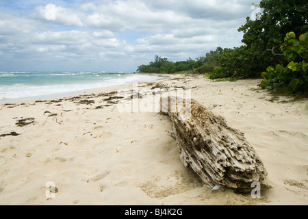 Jibacoa Strand, Kuba Stockfoto