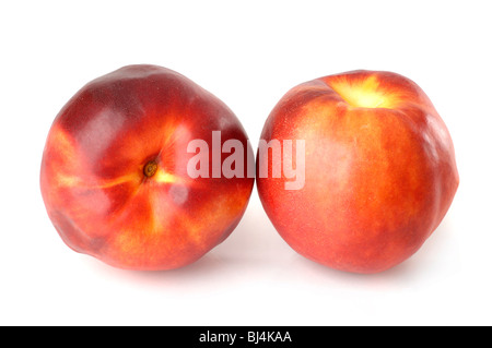 Zwei rote Nektarine Pfirsiche isolierten auf weißen Hintergrund Stockfoto