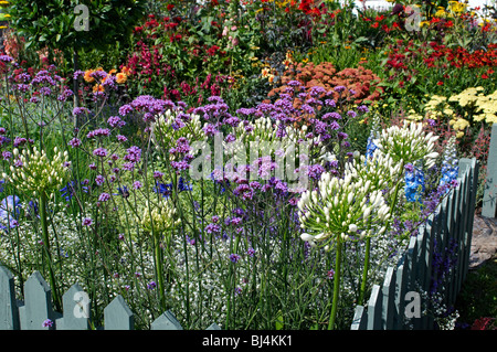 Eine bunte Stauden Blumen in einem englischen Landhaus-Garten Stockfoto