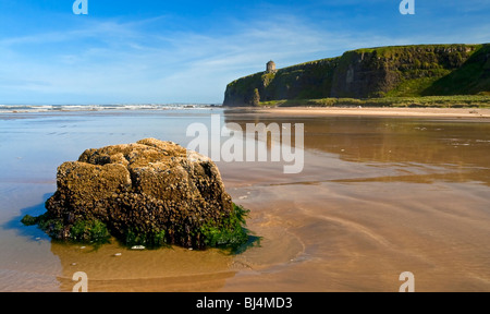 Der Strand von Abfahrt nach Osten in Richtung Mussenden Temple auf der Klippe County Londonderry-Nordirland Stockfoto