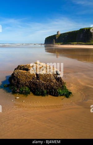 Der Strand von Abfahrt nach Osten in Richtung Mussenden Temple auf der Klippe County Londonderry-Nordirland Stockfoto