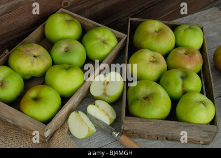 Bramley-Äpfel in Holztabletts Stockfoto