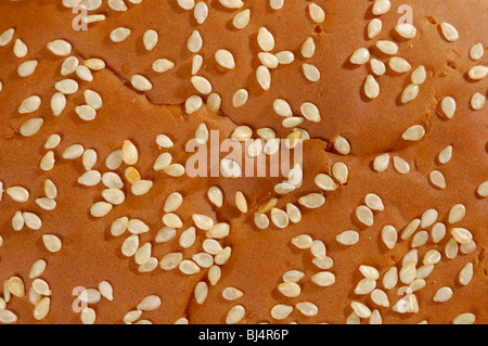 Sesam Brötchen Draufsicht Makro Textur Hintergrund Stockfoto