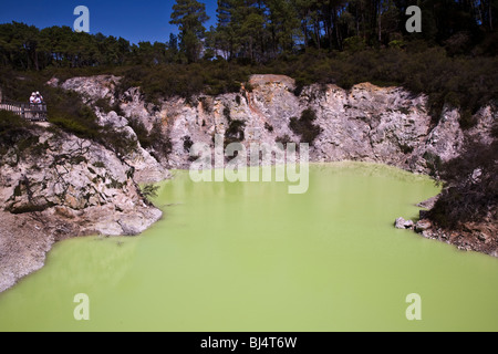 Des Teufels Bad einen Krater gefüllt mit Wasser natürlich gefärbt hell Lime gelb grün von Schwefel und Eisen Salze Neuseeland Stockfoto