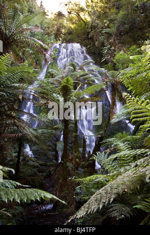 Bridal Veil Falls Wasserfall in 2500 Hektar großen Wald bewahren Rotorua Neuseeland Stockfoto