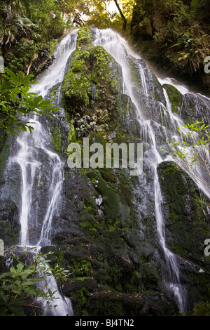 Bridal Veil Falls Wasserfall in das 2500 Hektar Wald bewahren umliegenden Baumkronen ein Luxus Wildernesss Lodge New Zealand Stockfoto