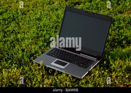 Laptop-Computer, auf dem Rasen Stockfoto