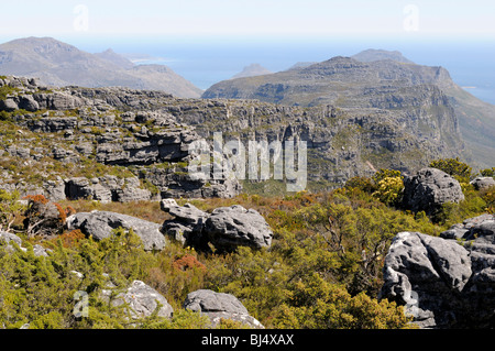 Blick vom Tafelberg auf die zwölf Apostel Palette und Kap der guten Hoffnung, Kapstadt, Western Cape, Südafrika, Afrika Stockfoto